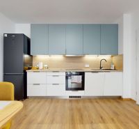 Küche in einer 2-Zimmer-Wohnung mit moderner Küchenzeile und Boden in Holzoptik.