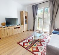 Wohnzimmer in einer 2-Zimmer-Wohnung mit Holzboden und buntem Teppich.