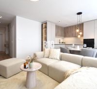 Wohnzimmer mit Küche in einer 4-Zimmer-Wohnung, mit einem Boden in Holzoptik.