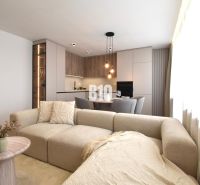 Wohnzimmer mit Küche in einer 4-Zimmer-Wohnung mit Holzboden.