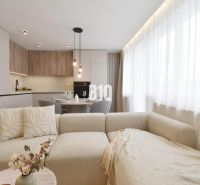 Wohnzimmer mit Küchenzeile und Sofa in einer 4-Zimmer-Wohnung.