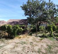 Garten bei einem Einfamilienhaus in der Tvrdošovce-Straße in Tvrdošovce mit Obstbäumen.