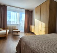 Ein Zimmer mit einem großen Fenster, einem Sofa, einem Bett, einem Schrank und einem Boden mit Holzdekor in einer Einzimmerwohnung.