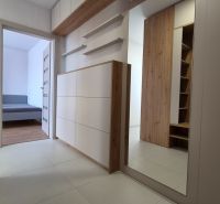 Innenraum mit Holzboden und Spiegel in einer Einzimmerwohnung.