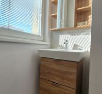 Badezimmer mit Waschbecken und Schrank mit Holzdekor in einer Einzimmerwohnung.