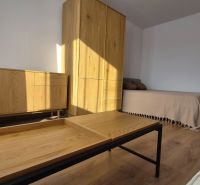 Innenraum einer Einzimmerwohnung mit Bett, Holzmöbeln und Boden mit Holzdekor.