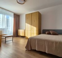 Helles Zimmer mit Bett, Sessel und Möbeln in einer Einzimmerwohnung, Boden mit Holzdekor.