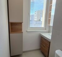 Badezimmer in einer Einzimmerwohnung mit elegantem Schrank und Blick durch das Fenster.
