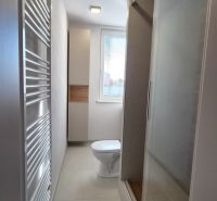 Badezimmer mit Dusche, Toilette und modernem Heizkörper in einer Einzimmerwohnung.