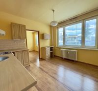 Küche mit Holzboden, Küchenzeile und großem Fenster in einer Einzimmerwohnung.