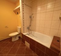 Badezimmer in einer Einzimmerwohnung mit Badewanne und Toilette mit Fliesen in Brauntönen.