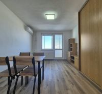 Einzimmerwohnung mit Holzboden, Tisch, Stühlen und Einbauschränken.