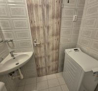 Badezimmer eines Einzimmerappartements mit Waschbecken, Waschmaschine und Fliesen aus Keramikfliesen.