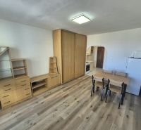 Einzimmerwohnung mit Holzboden, Möbeln, Esstisch und Kochnische.