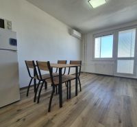 Einzimmerwohnung mit Kühlschrank, Holzboden und Esstisch mit Stühlen.