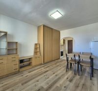 Einzimmerwohnung mit Holzboden, Möbeln, Esstisch und Einbauschrank.