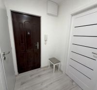 Eingangsflur in einer Zweizimmerwohnung mit Holzboden und dunklen Türen.