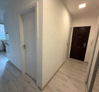 Ein heller Flur in einer 2-Zimmer-Wohnung mit einem Boden in Holzoptik.