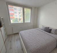Helles Schlafzimmer in einer 2-Zimmer-Wohnung mit großem Fenster und Bett.