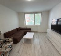 Wohnzimmer in einer 2-Zimmer-Wohnung mit Ecksofa und Holzboden.
