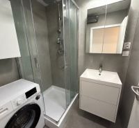 Kompaktes Badezimmer mit Duschkabine, Waschmaschine und Spiegelschrank in einer 2-Zimmer-Wohnung.