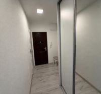 Der Flur in einer 2-Zimmer-Wohnung mit einem Boden in Holzoptik und einem Spiegelschrank.