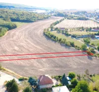 Landwirtschaftliche und forstwirtschaftliche Flächen in Podhájska, umgeben von Bäumen und einer Straße.