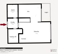 Grundriss einer 2-Zimmer-Wohnung mit Flur, Badezimmer und Loggia.