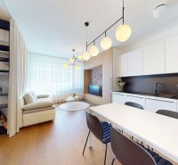 Wohnzimmer einer 2-Zimmer-Wohnung mit Holzboden und Kochnische.
