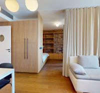 Wohnzimmer in einer Zweizimmerwohnung mit Holzboden, Sofa und Einbauschränken.