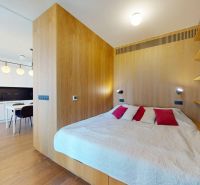 Innenraum einer 2-Zimmer-Wohnung mit Küche, Holzboden und Bücherregalen.