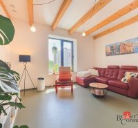 Wohnzimmer in einer 3-Zimmer-Wohnung mit rotem Sofa, Pflanzen und Holzbalken an der Decke.