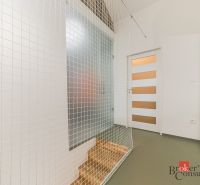 Flur mit Ziernetz und zwei Türen in einer 3-Zimmer-Wohnung.