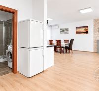 Innenraum einer 2-Zimmer-Wohnung mit Kamin, Essecke und Holzboden.