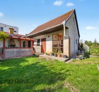 Einfamilienhaus mit Terrasse und Garten in der Nähe von Trstice auf einem geräumigen Grundstück.