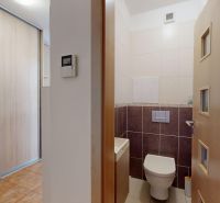 Badezimmer und Flur in einer 4-Zimmer-Wohnung mit Holzboden und viel Stauraum.