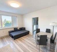 Wohnzimmer in einer Zweizimmerwohnung mit Sofa, Esstisch und Holzboden.