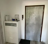 Eingangsflur mit Holzboden, Schuhschrank und Türen in einer 2-Zimmer-Wohnung.