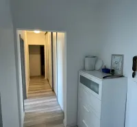 Der Flur in einer 2-Zimmer-Wohnung mit einer weißen Kommode und einem Boden in Holzoptik.