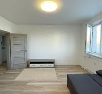 Helles Wohnzimmer in einer Zweizimmerwohnung mit Holzboden und grauem Sofa.