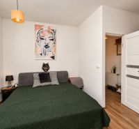 Schlafzimmer in einer Einzimmerwohnung mit einem Bild, einem grauen Sofa und einem Boden in Holzoptik.