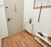 Eingangsbereich in einer Einzimmerwohnung mit Holzboden und Stauraum.