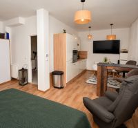 1-Zimmer-Wohnung mit Holzboden, Küchenzeile und Essbereich.