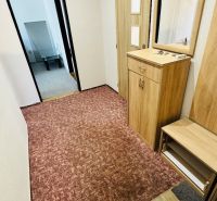 Ein Flur mit Möbeln und Teppich in einer 3-Zimmer-Wohnung mit Holzboden-Dekor.