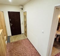 Der Flur in der 3-Zimmer-Wohnung mit Einbauschränken und einem Waschbecken mit Beleuchtung.