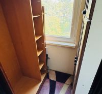 Ein Kleiderschrank in einer 3-Zimmer-Wohnung mit Blick durch ein großes Fenster und einem bunten Teppich.