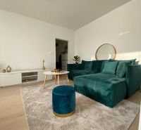Wohnzimmer in einer 3-Zimmer-Wohnung mit einem dunkelgrünen Sofa und einem Tisch auf einem hellen Teppich.