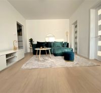 Wohnzimmer in einer 3-Zimmer-Wohnung mit Sofa, Teppich und Boden in Holzoptik.