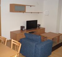 Wohnzimmer mit Holzboden, blauem Sofa und Fernseher in einer 3-Zimmer-Wohnung.