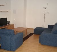 Wohnzimmer in einer 3-Zimmer-Wohnung mit einem blauen Sofa und einem Boden in Holzoptik.